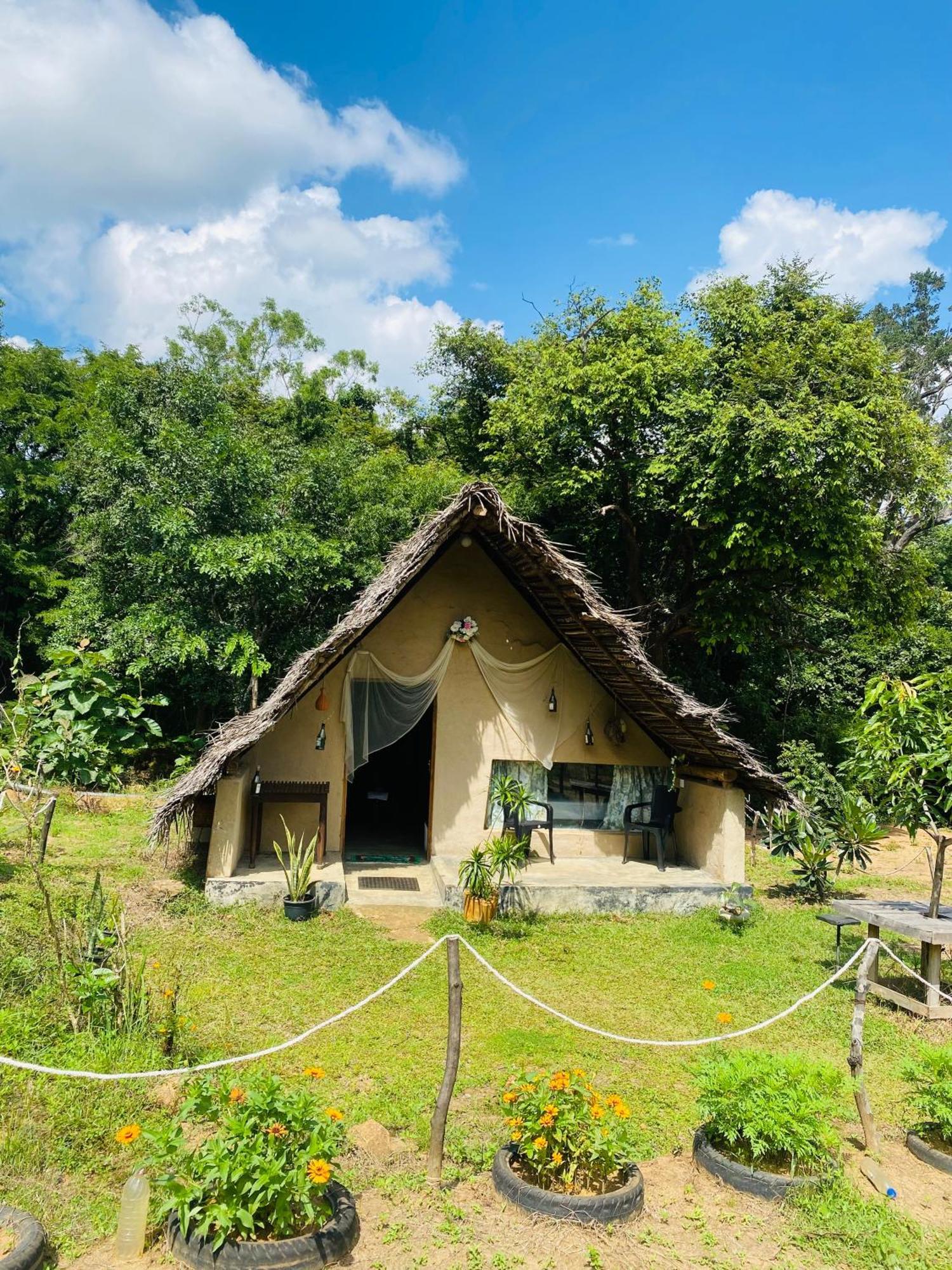 The Forest Edge Resort Dambulla Luaran gambar